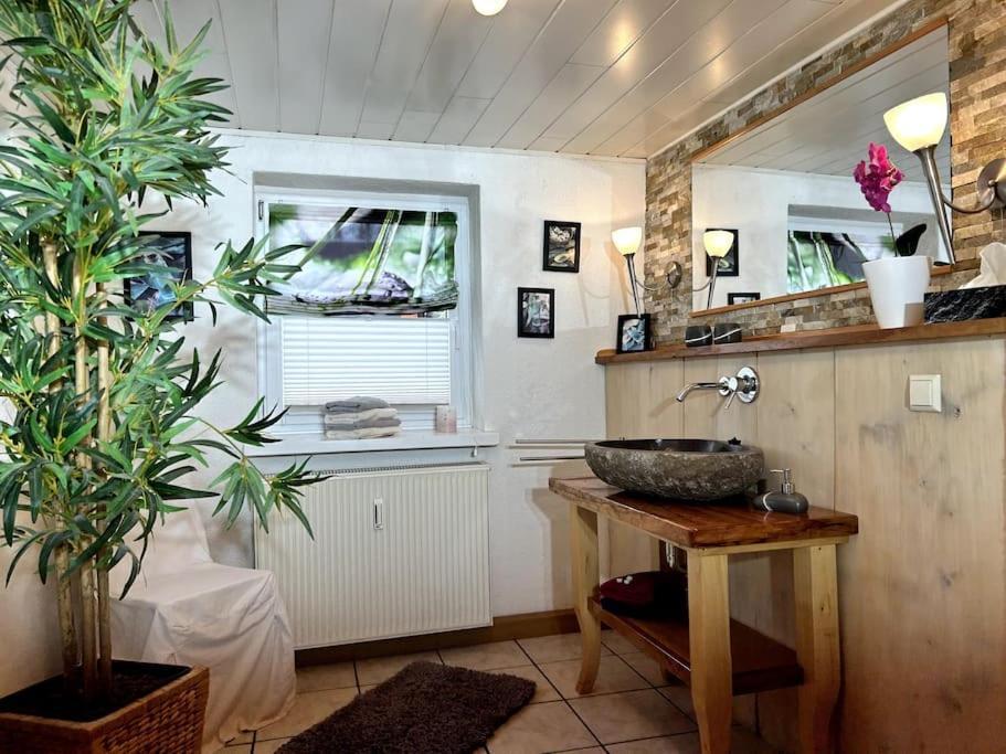 Rustikales Studio-Apartment Blockstube Im Haus Selma Grossschoenau Exterior photo