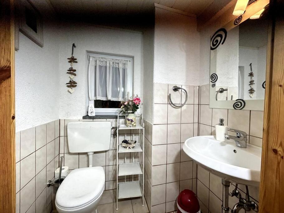 Rustikales Studio-Apartment Blockstube Im Haus Selma Grossschoenau Exterior photo